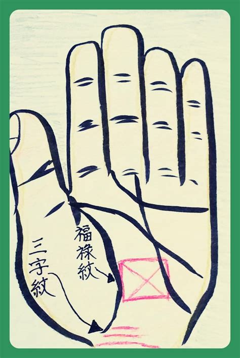 1992年10月17日 掌中井字紋